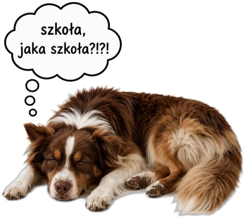 Szkolenie psów — humorystyczna ilustracja